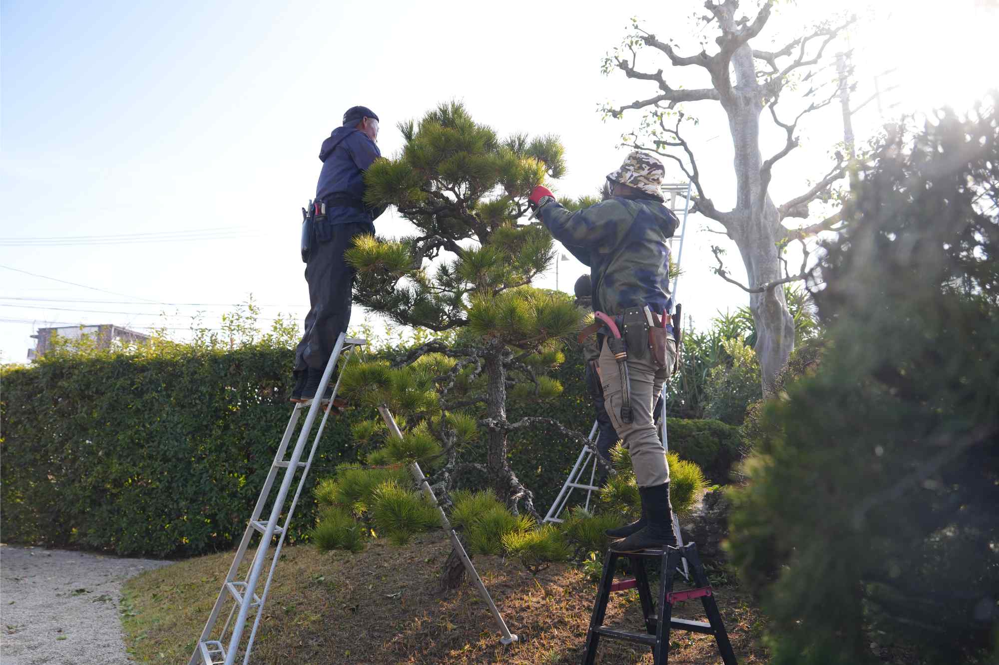 空き家のお悩み解決 | 福岡県北九州市の造園ならミカミグリーン